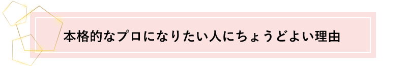 本格的なプロになりたい人にちょうどよい理由