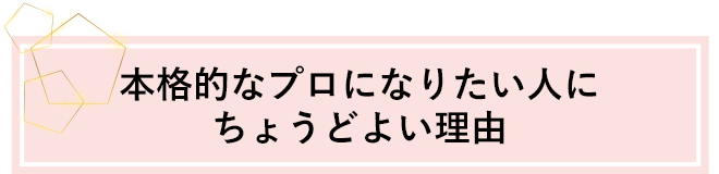 本格的なプロになりたい人にちょうどよい理由