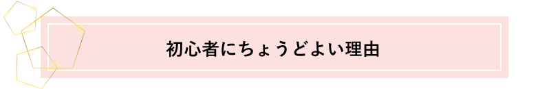 初心者にちょうどよい理由