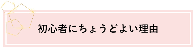 初心者にちょうどよい理由